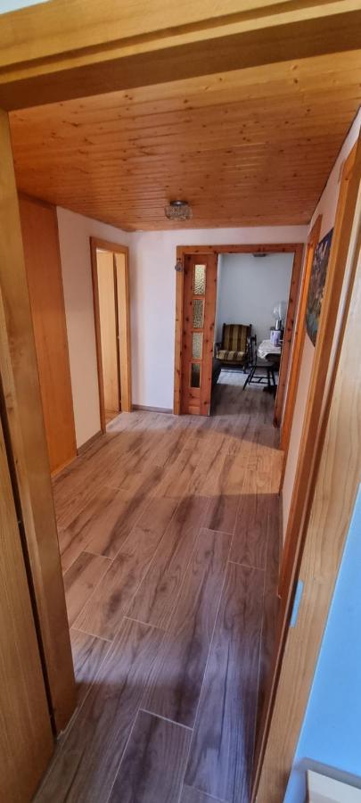 Le Panorama - Appartement 54 A Arolla Face Aux Montagnes A 150M Des Pistes เอโวแล็น ภายนอก รูปภาพ