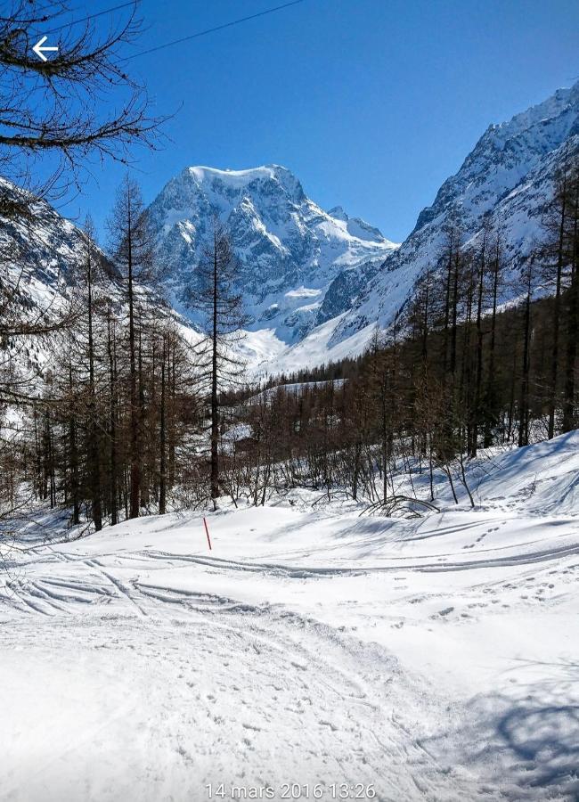 Le Panorama - Appartement 54 A Arolla Face Aux Montagnes A 150M Des Pistes เอโวแล็น ภายนอก รูปภาพ
